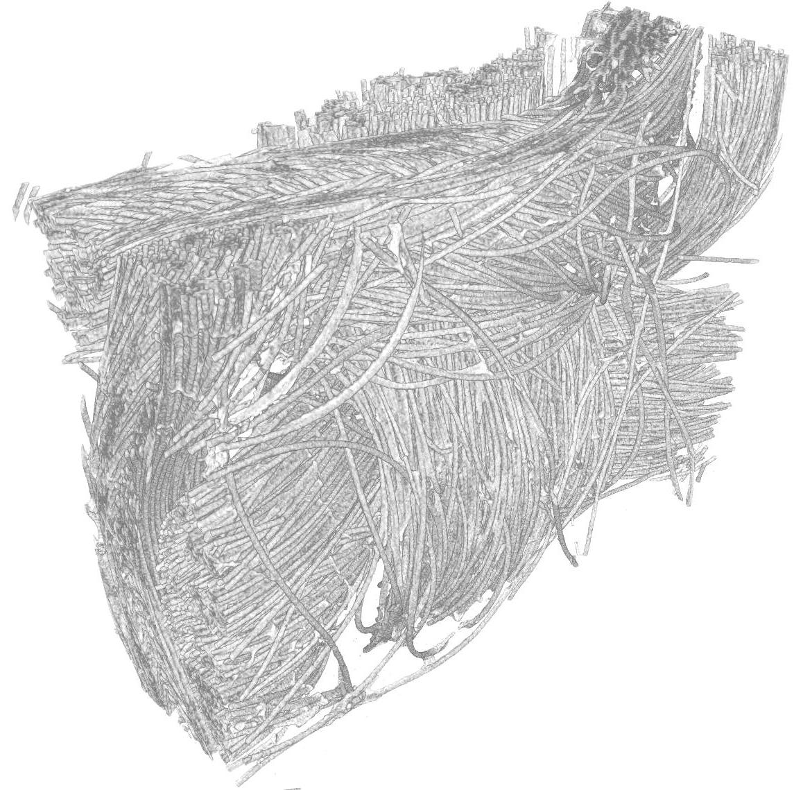 X-Ray Computed Tomography Data of a Carbon Cloth