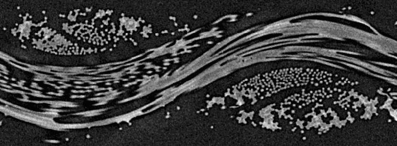 X-Ray Computed Tomography Data of a Carbon Cloth: Cross Section