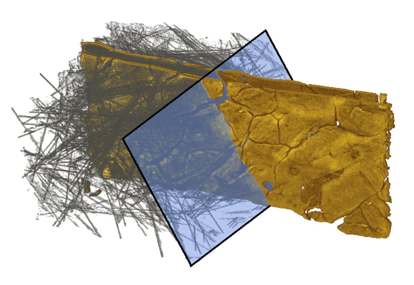 X-Ray Computed Tomography Data of a Membrane Electrode Assembly