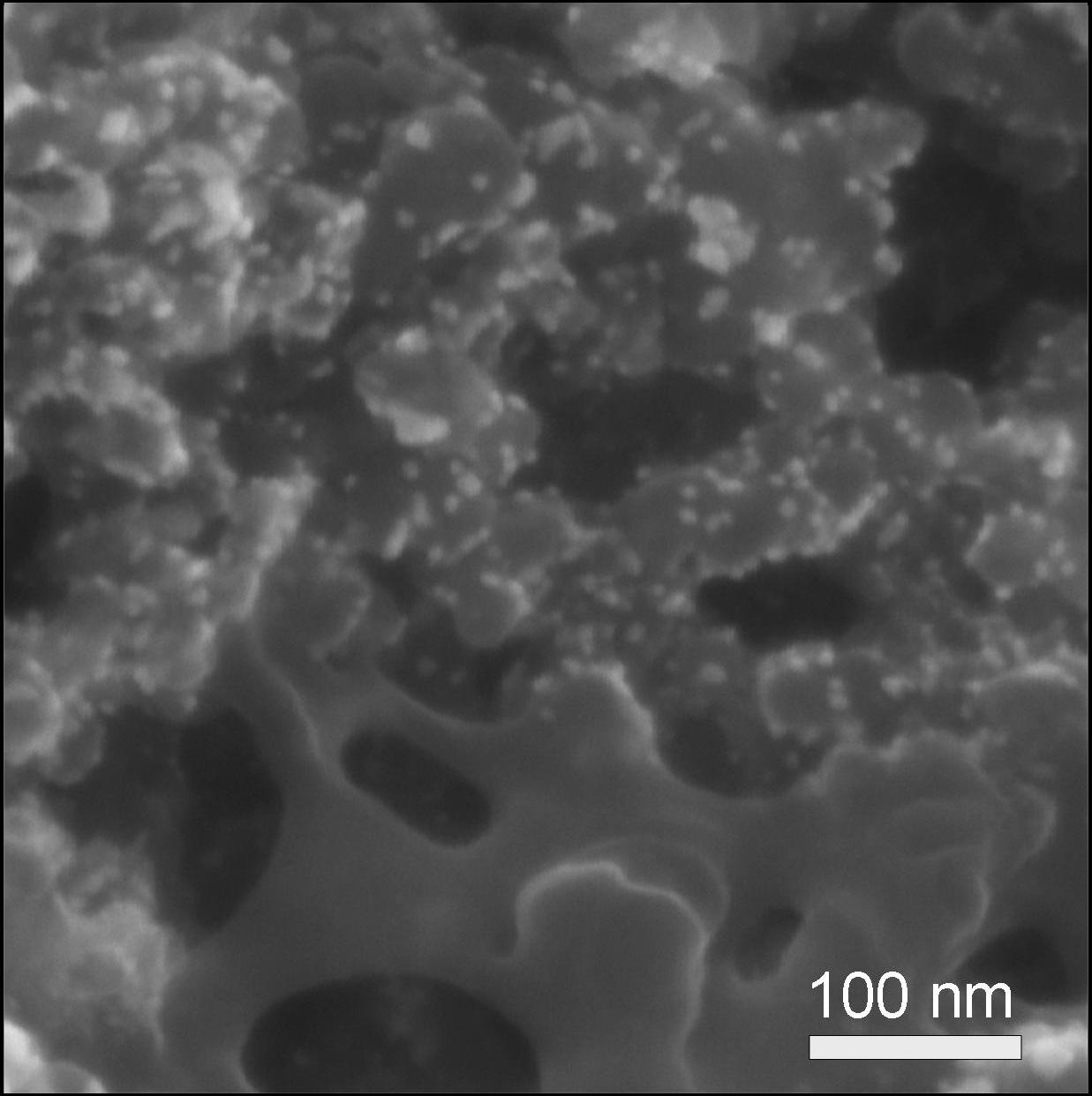 Scanning Electron Microscopy of Catalyst Material